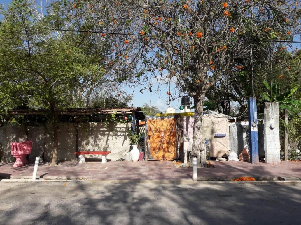 Hostal Y Camping Las G Bacalar Buitenkant foto